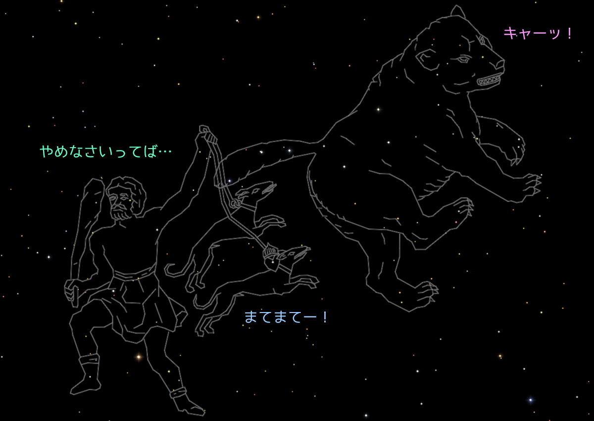 おおぐま座を追いかけるりょうけん座と、それをいさめるうしかい座の図　