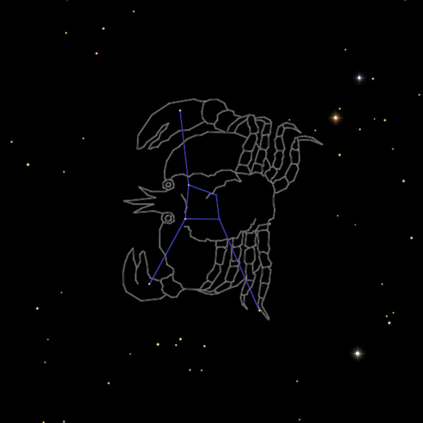 かに座星座絵