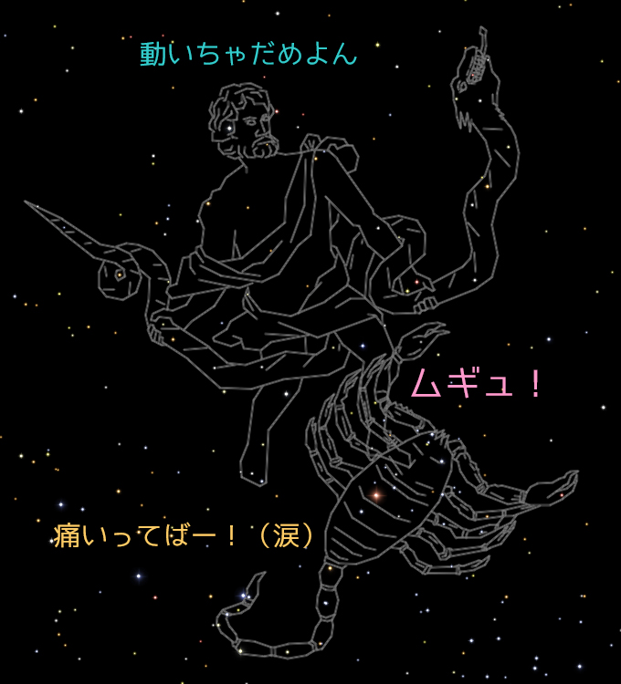 【図・へびつかい座に踏まれるさそり座】　