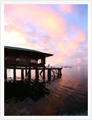 �}�����r���b�W�Ō������Ă�